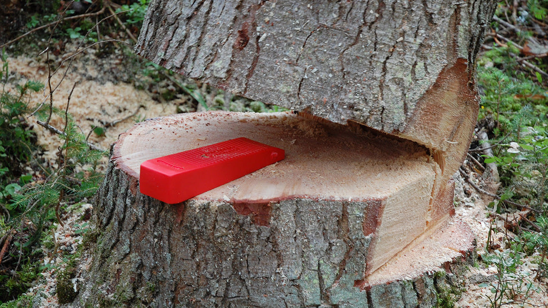 Kilar vid trädfällning